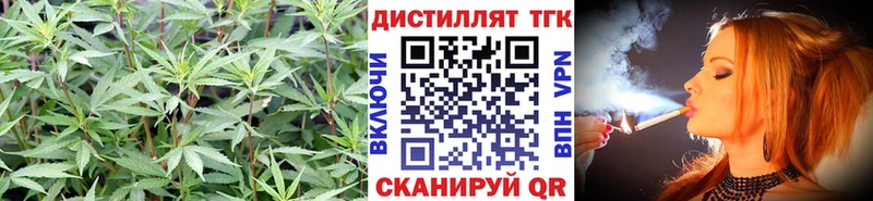 где купить наркотик  Пустошка  OMG маркетплейс  ТГК THC oil 