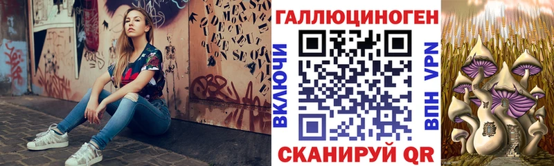 MEGA как войти  Пустошка  Галлюциногенные грибы Psilocybine cubensis 