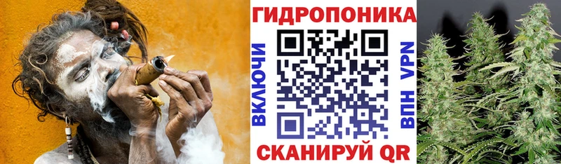 Марихуана тримм  закладка  маркетплейс как зайти  Пустошка 